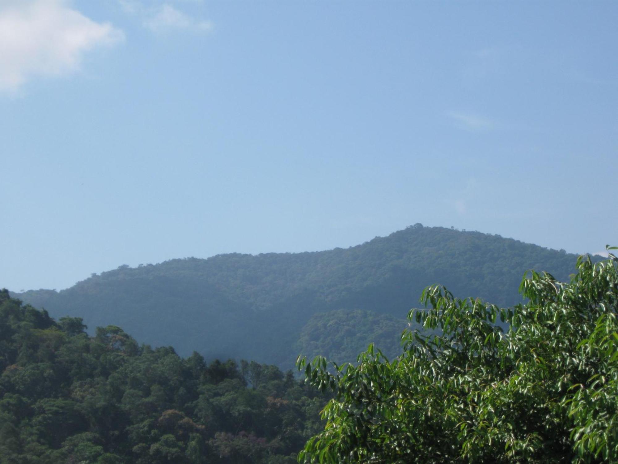 Portal Da Palmeira Ubatuba